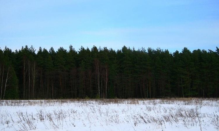 Зеленая стрела