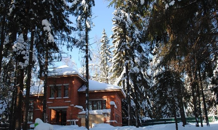 Истринский лес