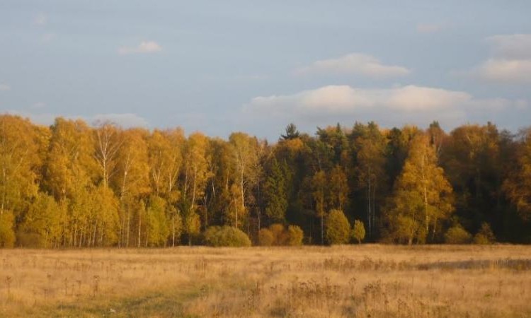 Итон и Виндзор