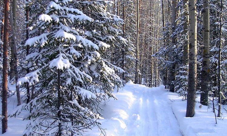 Караськина охота