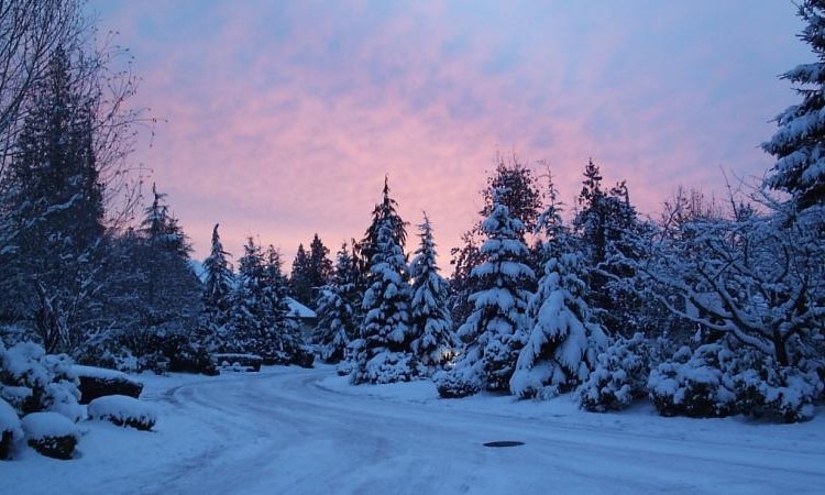 Караськина охота