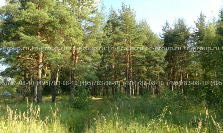 Карповские дачи