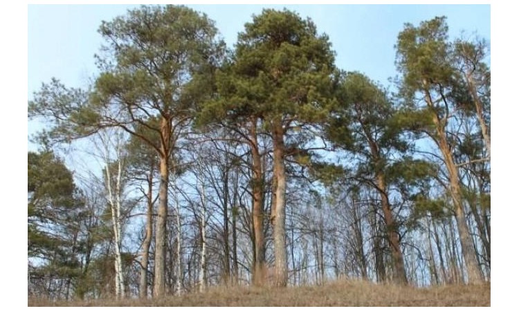 Каширские озера