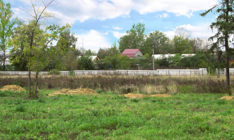 Классика