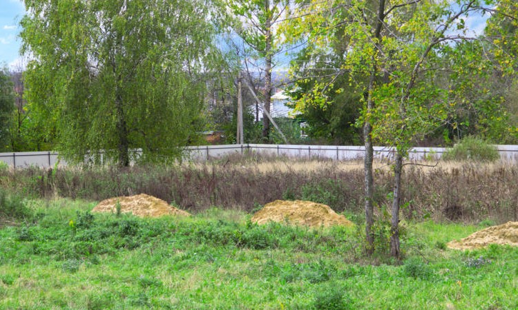 Классика