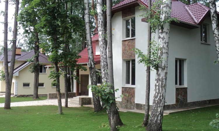 Княжий бор