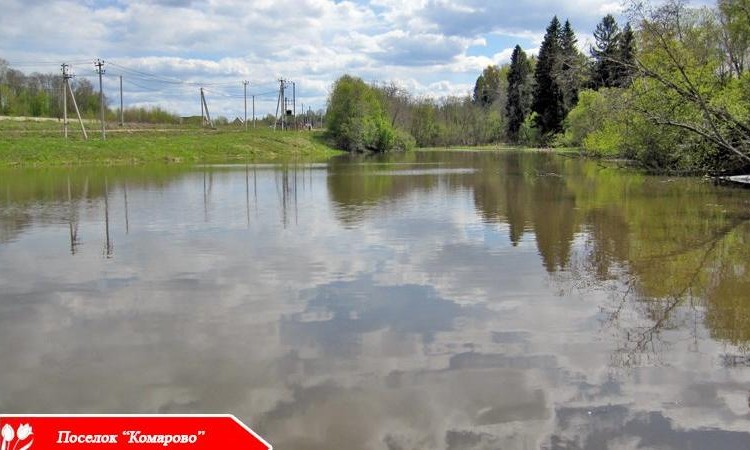 Комарово 1, 2