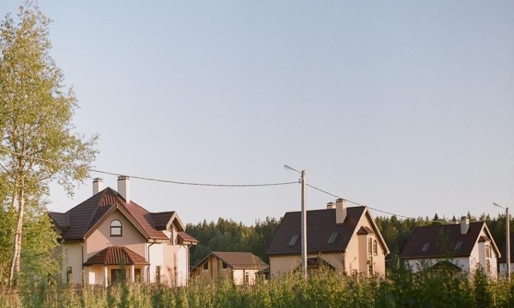 Кореньки