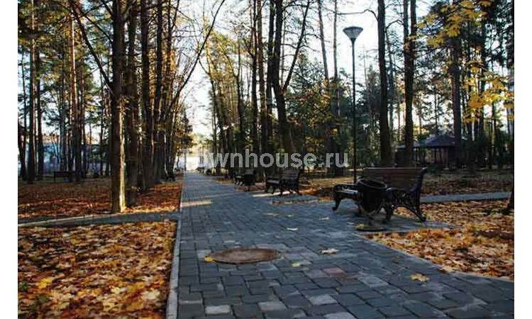 Королевские сосны