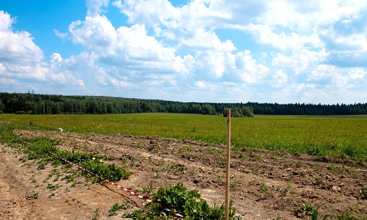 Красная сторожка