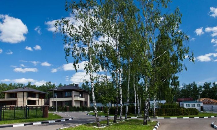 Крекшино