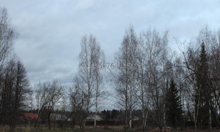 Кстинино