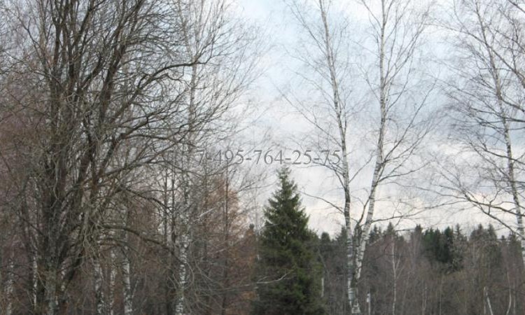 Кстинино