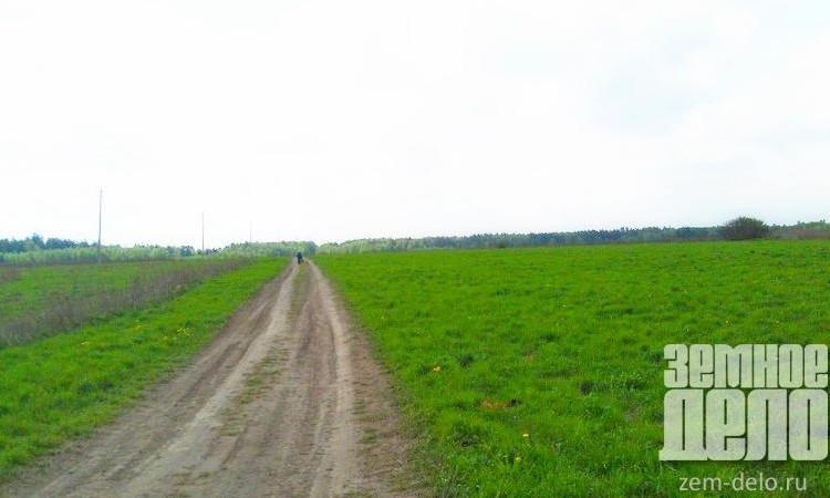 Лапинские дачи