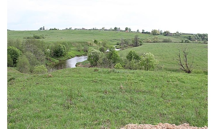 Лесная Губерния