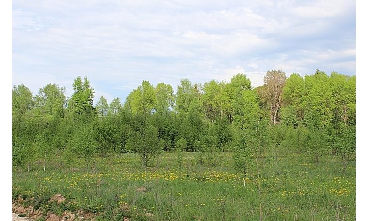 Лесная Губерния
