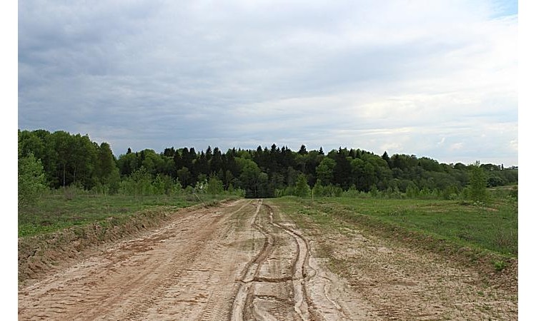 Лесная Губерния