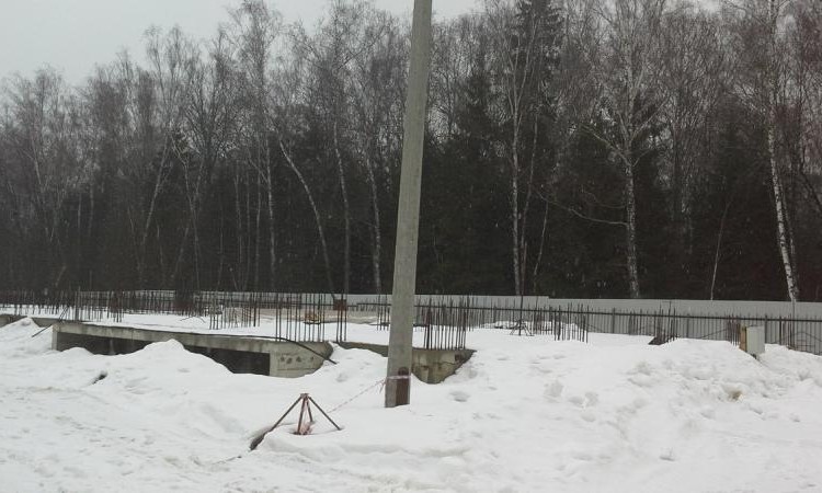 Лесная сказка