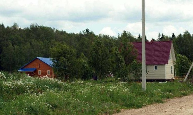 Лесное