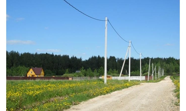 Лесное 2