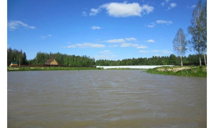 Лесное 2