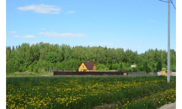 Лесное 2