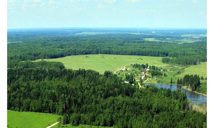 Лесное-Стрешнево