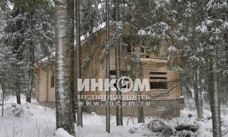 Лесной родник 2