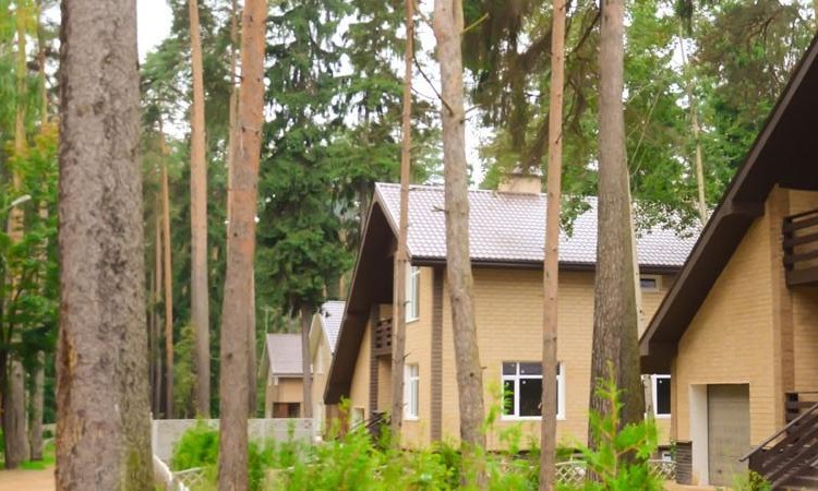 Малаховка парк