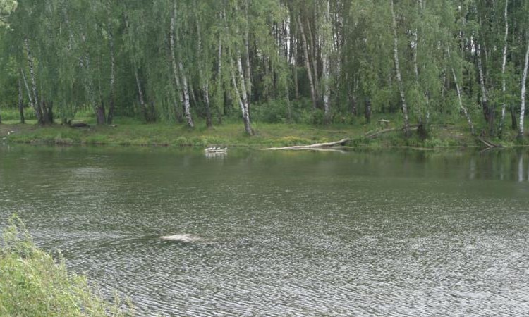 Малино
