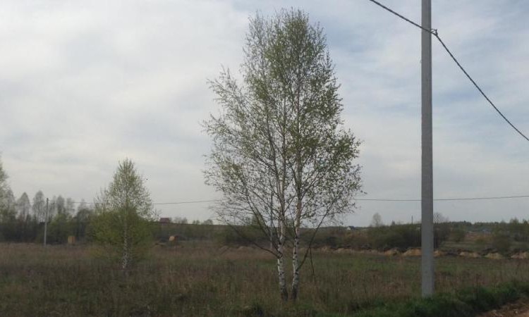 Можайское раздолье