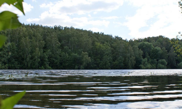 Морозовские дачи