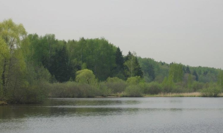 Немо