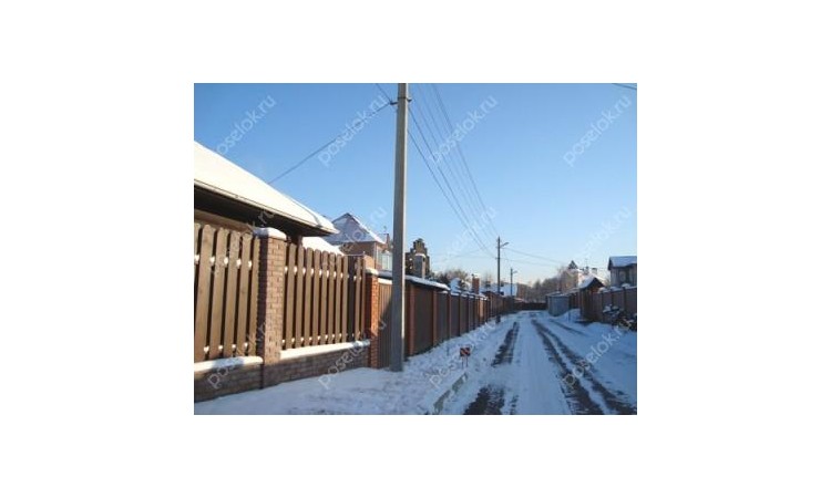 Новогорские березки