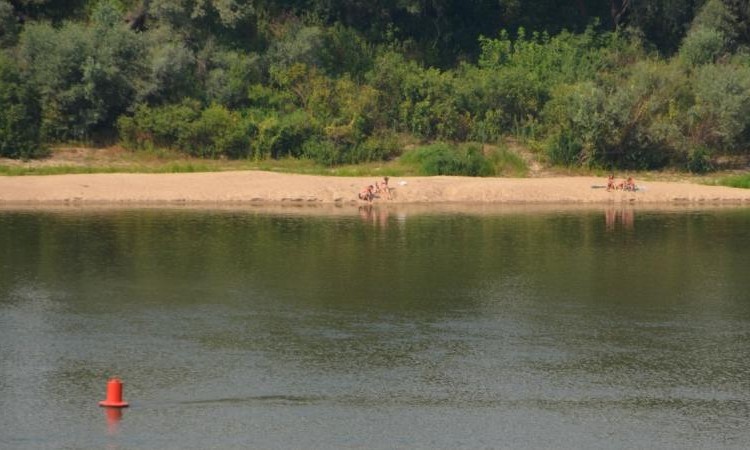Окский берег