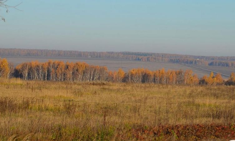 Окунево