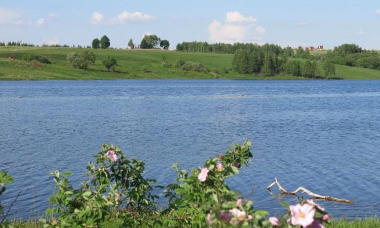 Окунево