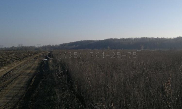 Остров (Айленд)