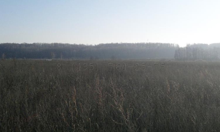 Остров (Айленд)
