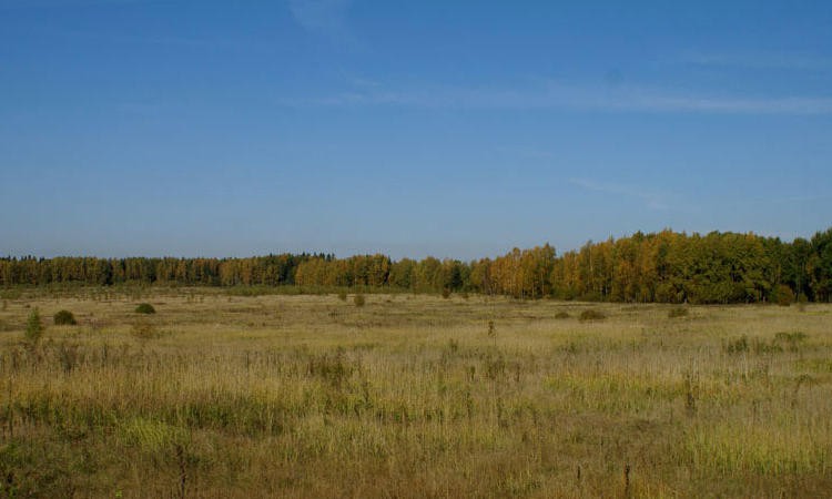 Пахомово