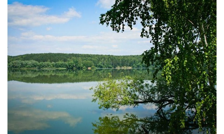 Прибрежный парк