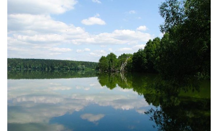 Прибрежный парк