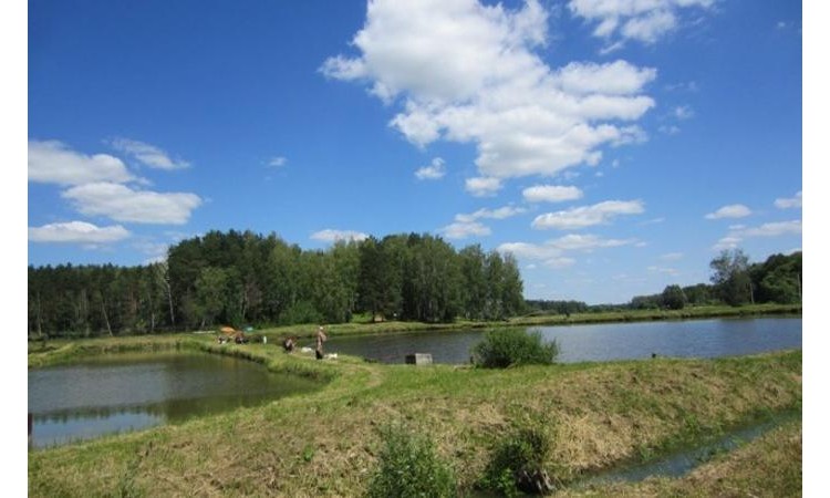 Прибрежный парк