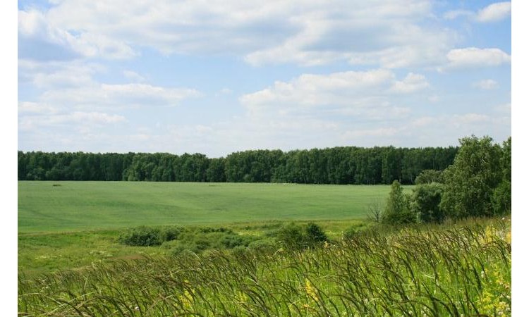 Прибрежный парк