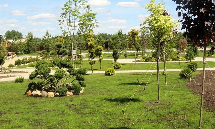 Руза Family Park (Руза Фэмили Парк)