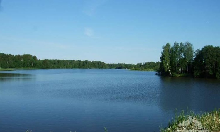 Рузские берега