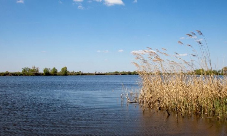 Рыболово