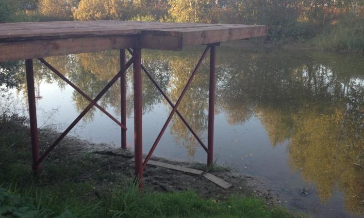 Рыжиково