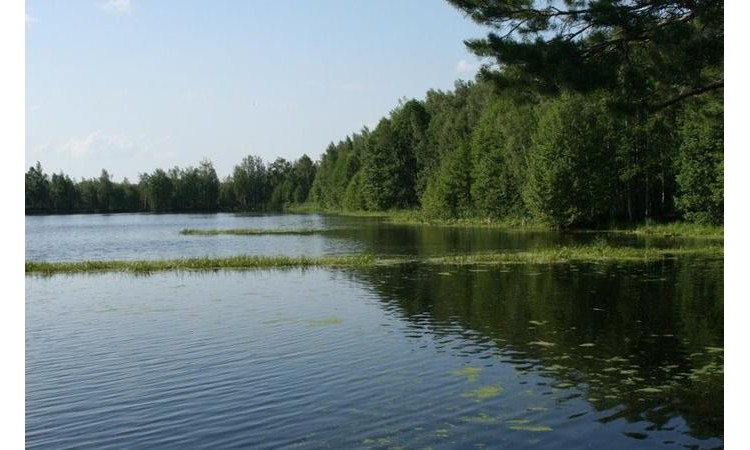 Саввинские берега