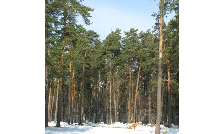 Семья